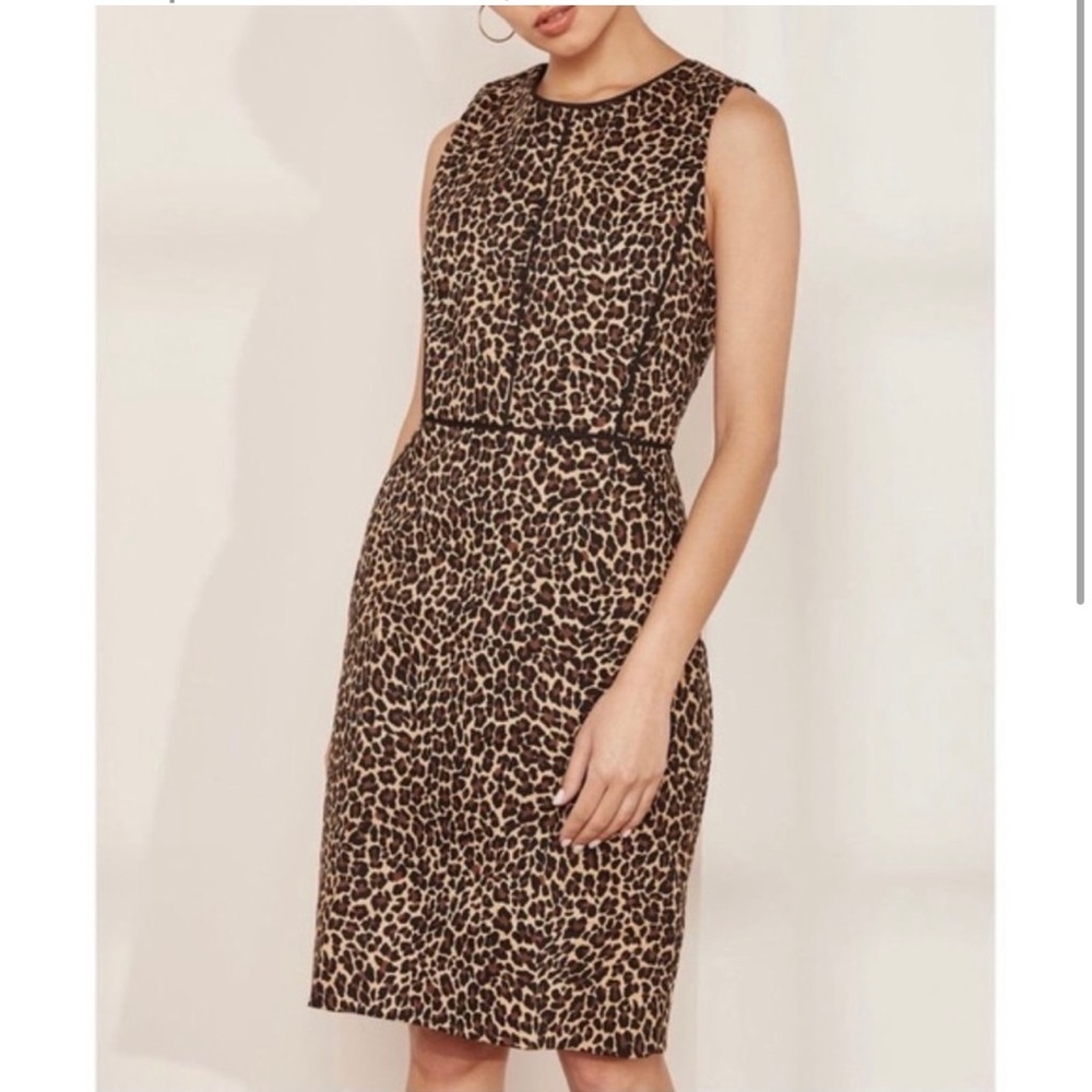 J. Crew Leopard Print Piped Slimming Knee Length Sleeveless Sheath Dress 4
